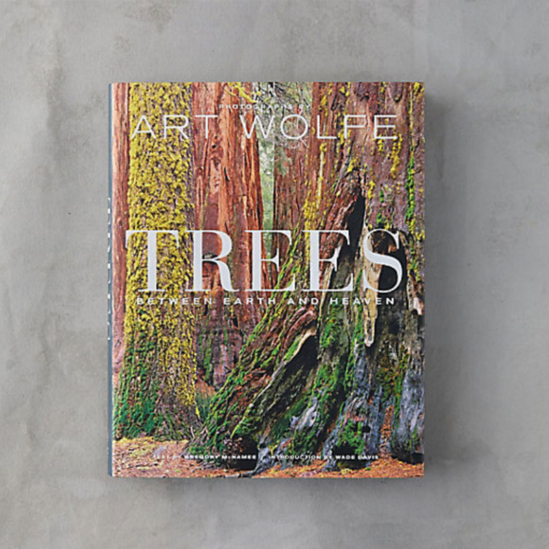 table book tree gift fot tree lovers