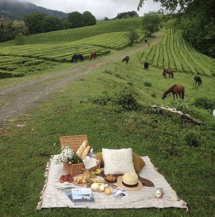 cottagecore picnic animals