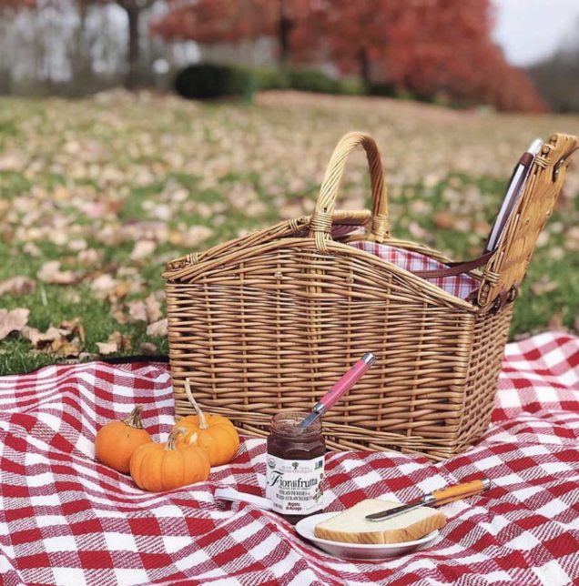 Everything you Need to Set the Perfect Cottagecore Picnic The Mood Guide