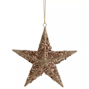 Rose Gold Star Christmas Ornament
1pc | 5.5"