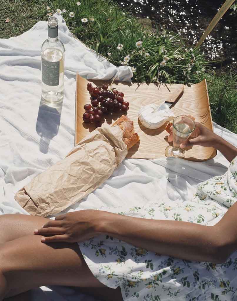 cottagecore picnic black girl. picnic cheese and wine ideas. cottagecore picnic aesthetic