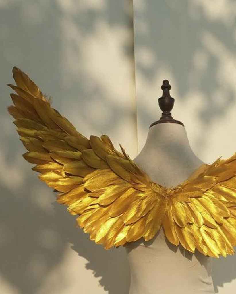 angel wings aesthetic