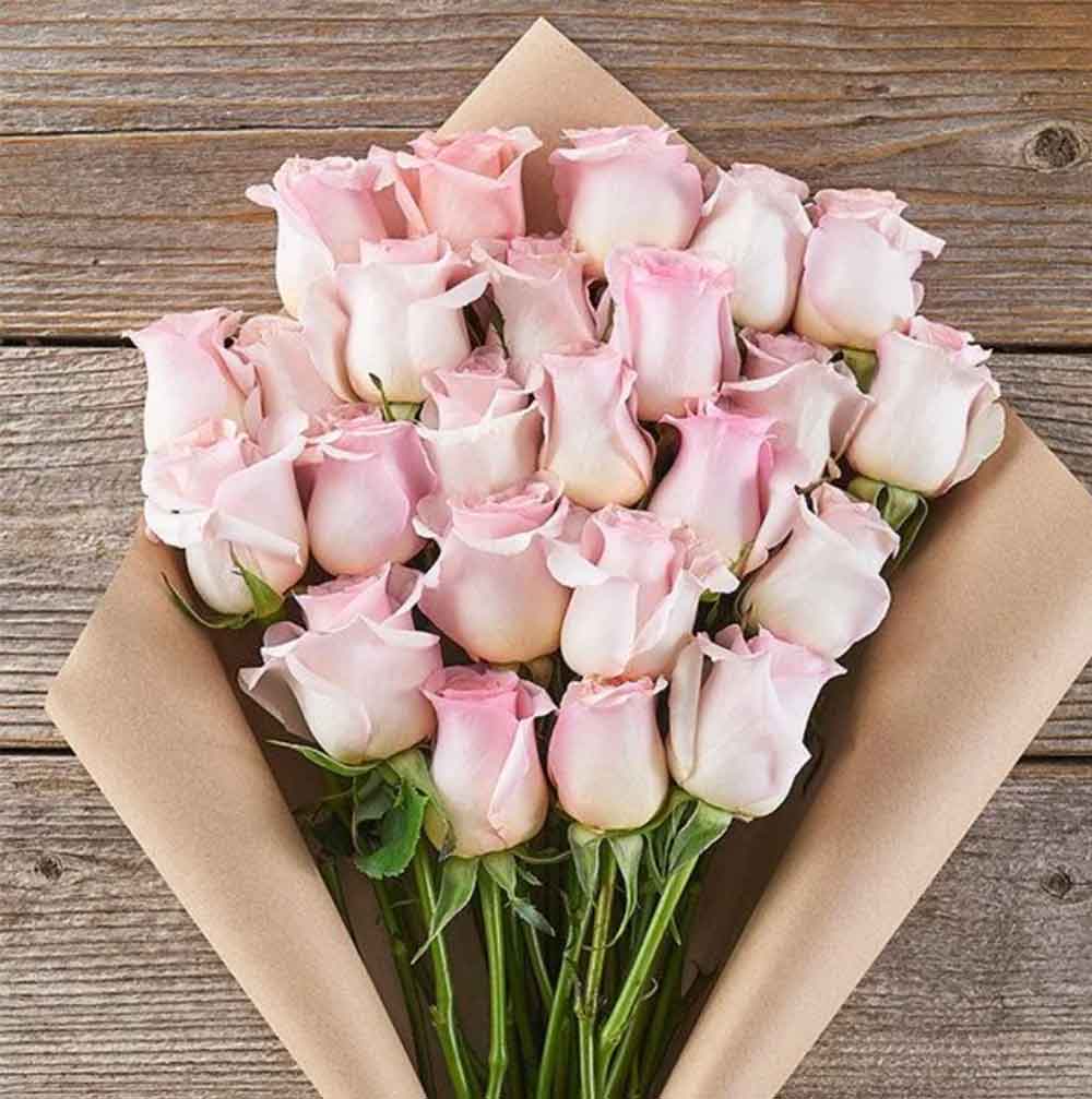 pink roses bouquet aesthetic photo