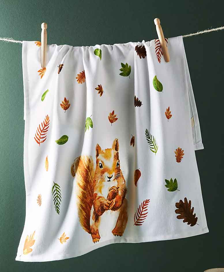 squirrel themed  kitchen towel gift