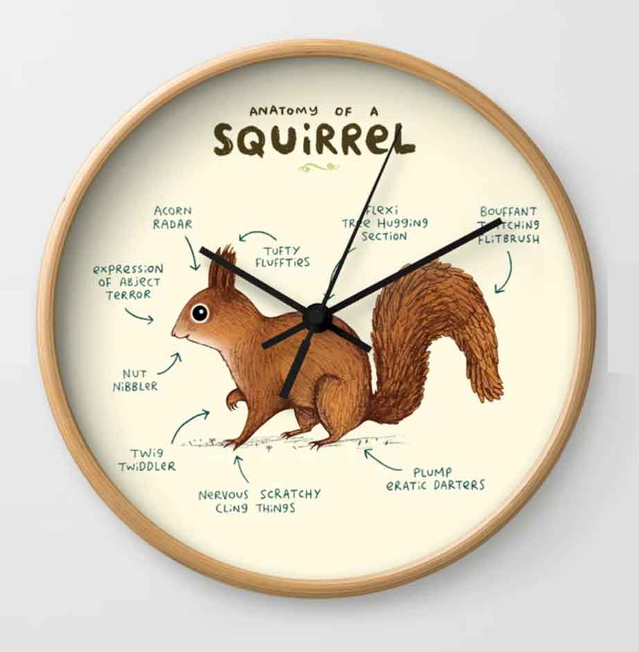 clock funny squirrel gift