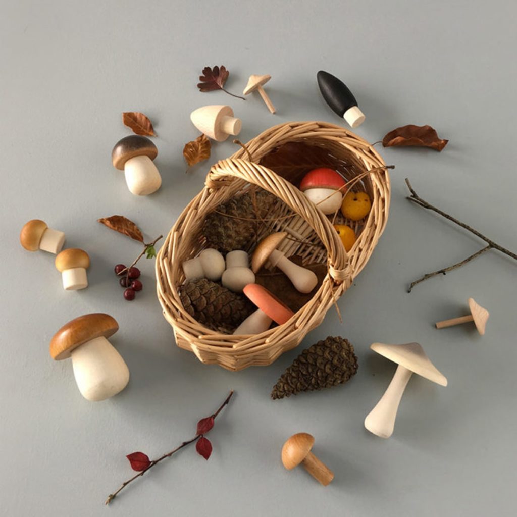 Forest Mushrooms Basket, Moon Picnic