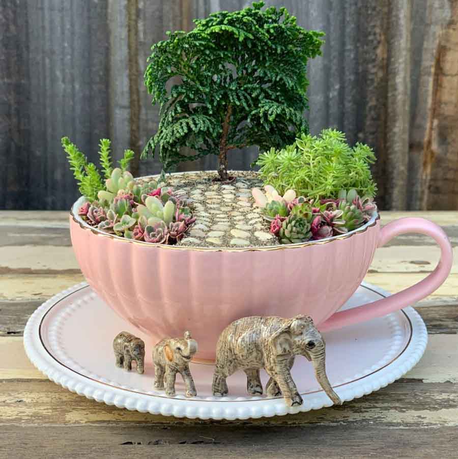 lovely pink teacup fairy garden