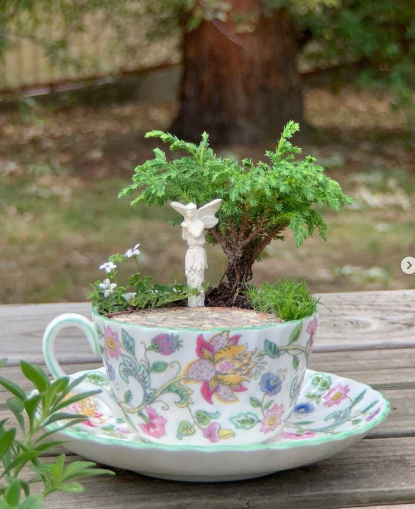 teacup fairy garden