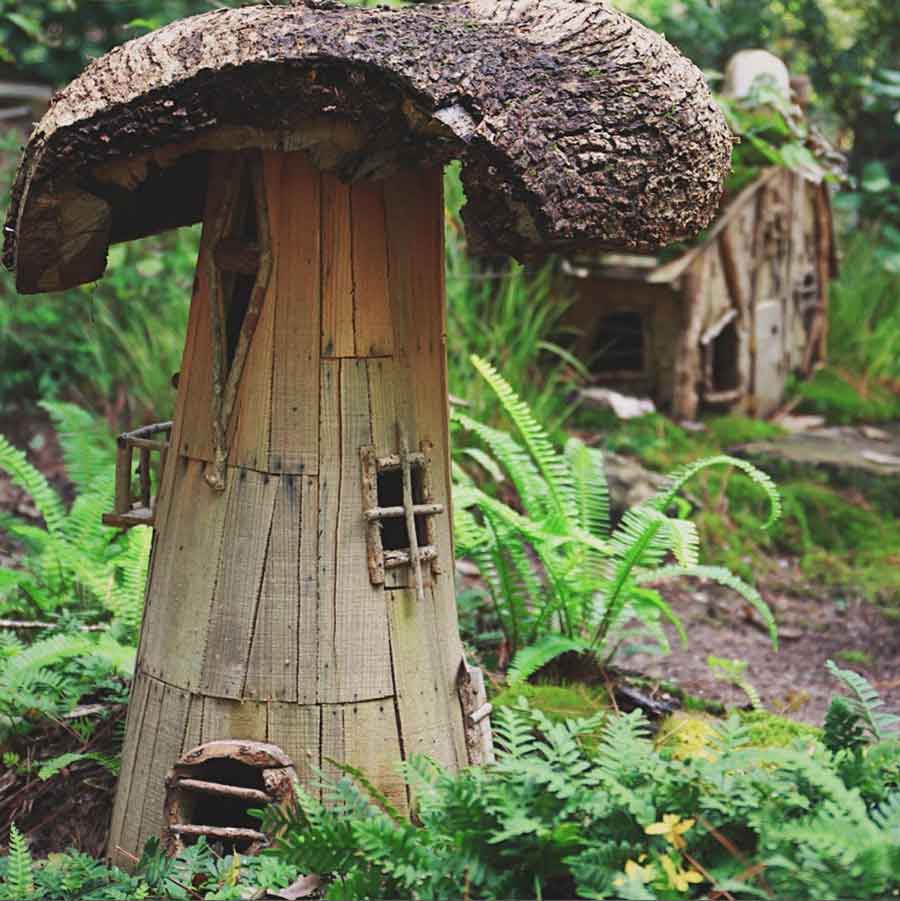 mushroom fairy house