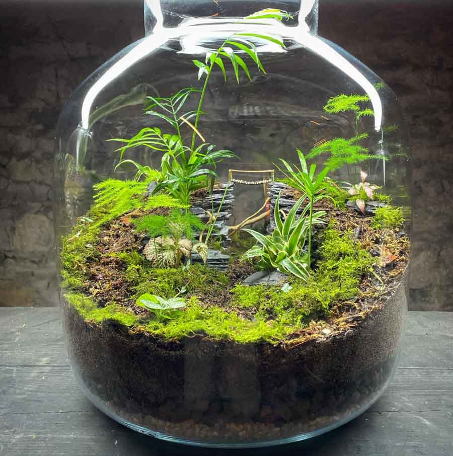 terrarium fairy garden with moss