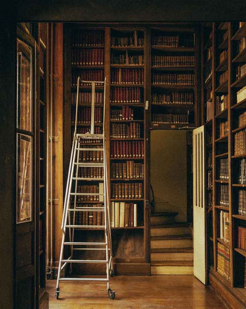 dark academia aesthetic library