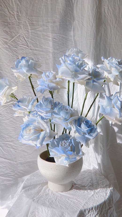 light blue flower aesthetic wallpaper