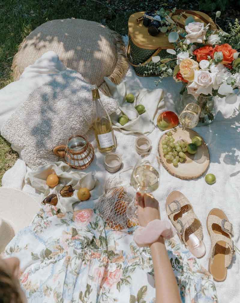 cottagecore aesthetic picnic