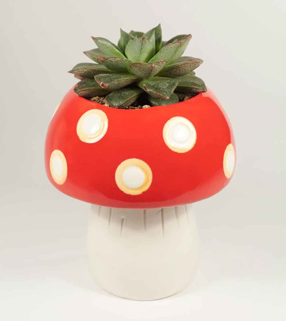 mushroom planter decor