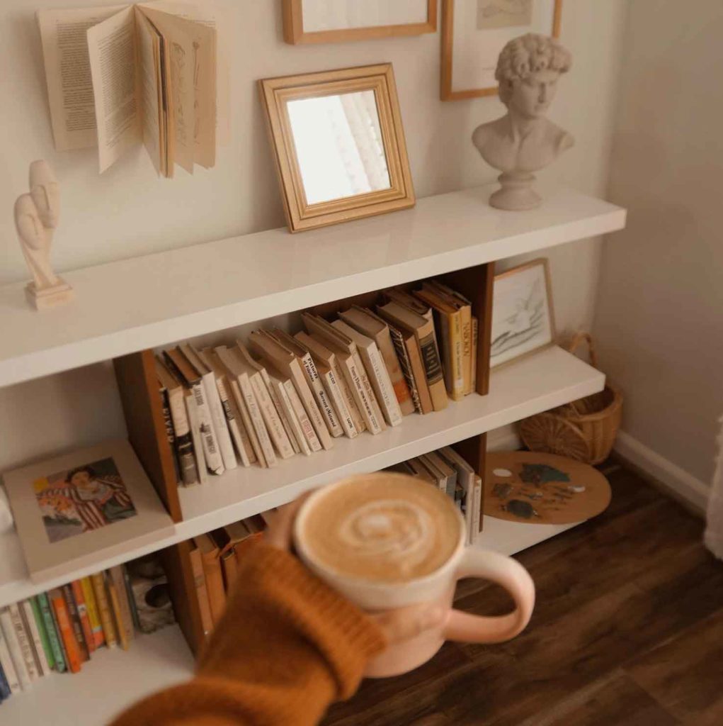 light academia living room book shelf