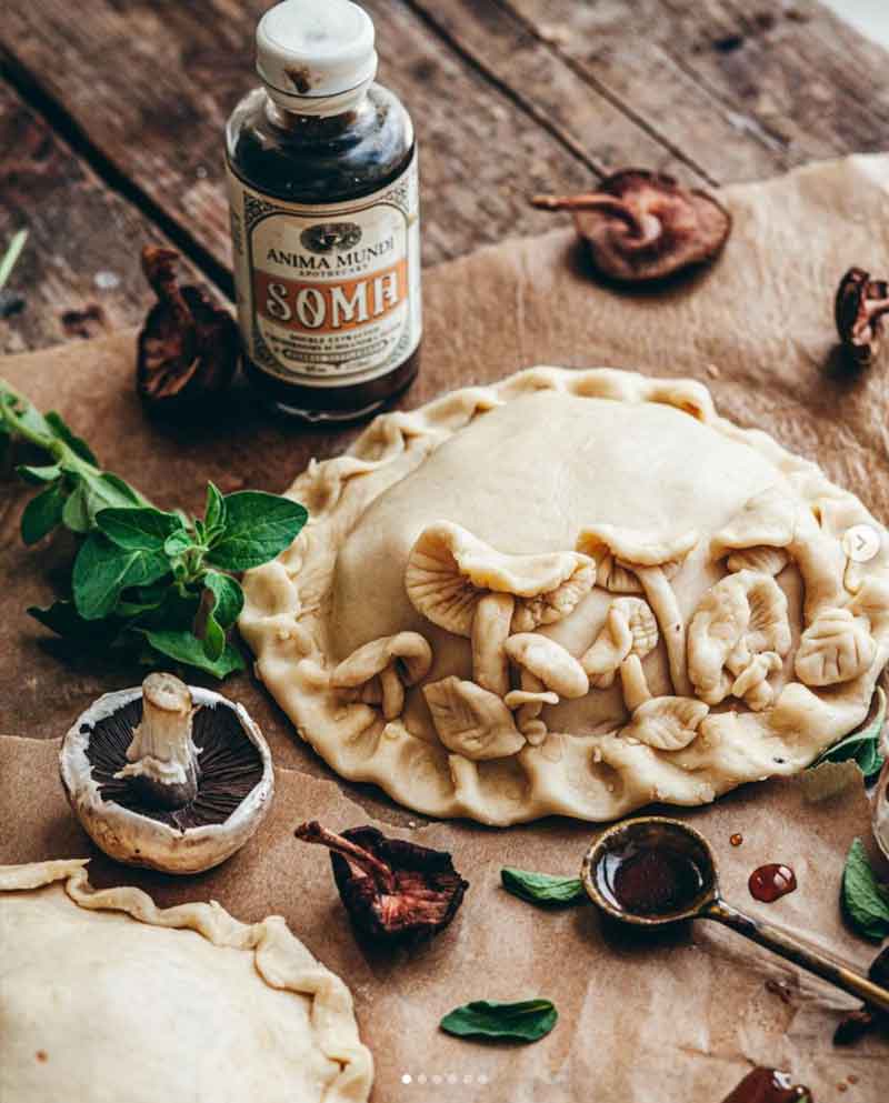 mushroom pie