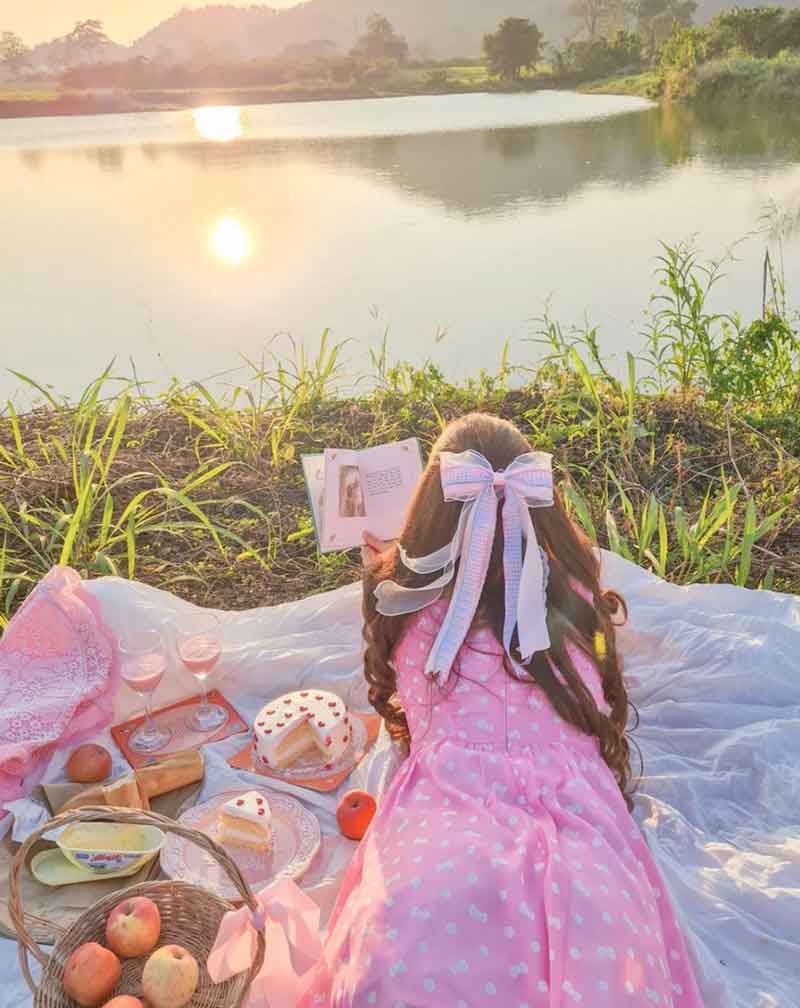 cottagecore pink picnic