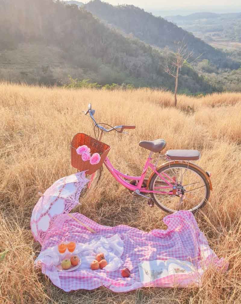 pink vintage bike