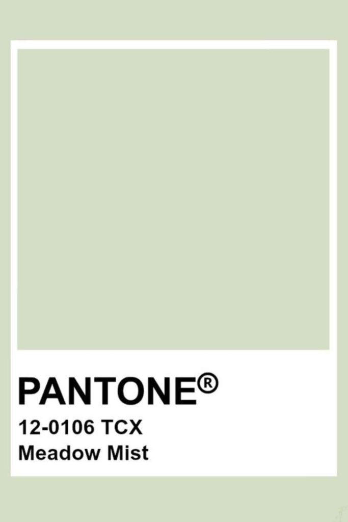 sage green aesthetic color