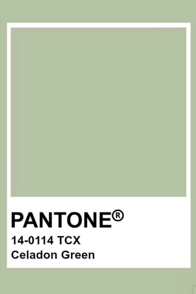 sage green aesthetic pantone